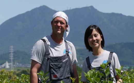 茨城県つくば市産 冷凍ブルーベリー　1kg【ブルーベリー 国産 ベリー スイーツ トッピング 栄養 ジャム 果実 果物 パンケーキ】