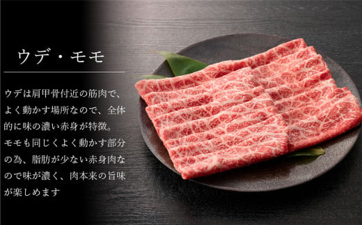 【3回定期便】佐賀牛特選食べ尽くし贅沢セット【佐賀牛 お肉 牛肉 すき焼き しゃぶしゃぶ ステーキ サーロイン】(H996P101)