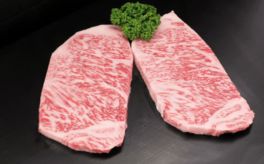 【3回定期便】佐賀牛特選食べ尽くし贅沢セット【佐賀牛 お肉 牛肉 すき焼き しゃぶしゃぶ ステーキ サーロイン】(H996P101)