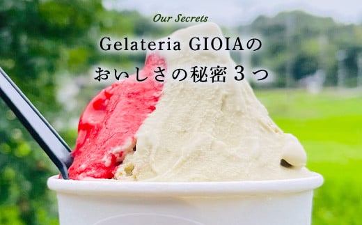 Gelateria GIOIA 手作りジェラートおまかせ８種類セット ふるさと納税 ジェラート 手作り デザート 冷たい アイス イタリア 千葉県 長南町 CNH004