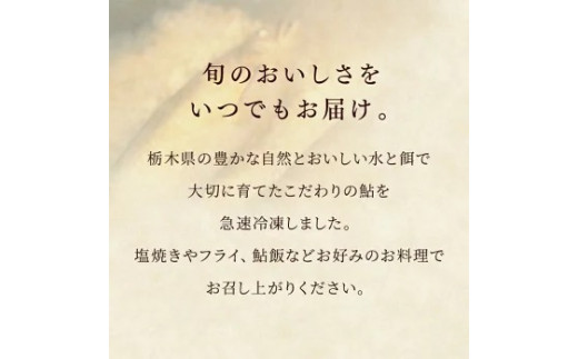 【天然仕立て 鮎 新鮮冷凍 大サイズ10尾】産地直送 おつまみ 高級 ※沖縄・離島への配送不可