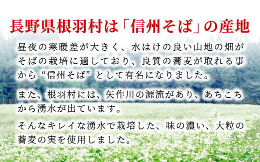 お歳暮 熨斗対応◆ 南信州根羽村産 そば焼酎 「根羽乃華」 25度 720ml 1本 そば そば焼酎 焼酎 信州そば焼酎 信州 長野 蕎麦 7000円 7,000円