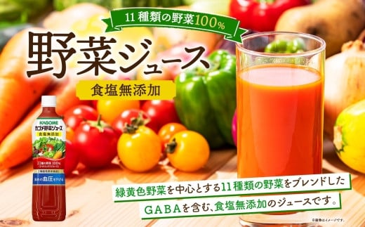 定期便 4ヵ月毎全3回 カゴメ トマトジュース ＆ 野菜ジュース 食塩無添加 スマートPET 720ml 2種 各6本 計12本 トマト 野菜 100％ ジュース 機能性表示食品 食塩不使用 飲料 ドリンク ペットボトル GABA 血圧 コレステロール KAGOME 送料無料 那須塩原市 ns038-024