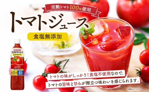 定期便 4ヵ月毎全3回 カゴメ トマトジュース ＆ 野菜ジュース 食塩無添加 スマートPET 720ml 2種 各6本 計12本 トマト 野菜 100％ ジュース 機能性表示食品 食塩不使用 飲料 ドリンク ペットボトル GABA 血圧 コレステロール KAGOME 送料無料 那須塩原市 ns038-024