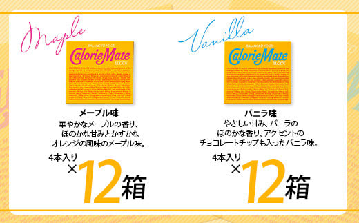 ≪3回定期便：合計180箱≫  カロリーメイト ブロック 4本入り 5種類 各12箱 計60箱【大塚製薬 定期便 チョコ バニラ メープル チーズ フルーツ 5大栄養素 徳島県 那賀町 非常食 常備食 災害 新生活 備蓄 長期保存 栄養食】MS-2-3