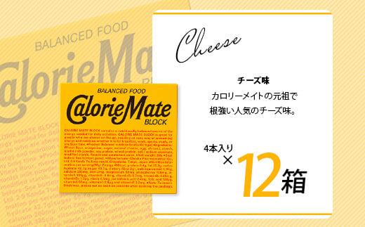 ≪3回定期便：合計180箱≫  カロリーメイト ブロック 4本入り 5種類 各12箱 計60箱【大塚製薬 定期便 チョコ バニラ メープル チーズ フルーツ 5大栄養素 徳島県 那賀町 非常食 常備食 災害 新生活 備蓄 長期保存 栄養食】MS-2-3
