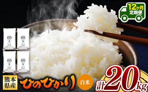 令和6年産   【定期便12回】 熊本県産 ひのひかり 白米 20kg | 小分け 5kg × 4袋  熊本県産 特A獲得品種 米 白米 ごはん 銘柄米 ブランド米 単一米 人気 日本遺産 菊池川流域 こめ作り ごはん ふるさと納税 返礼品 