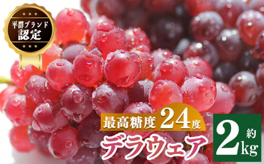 平群ブランド デラウェア 2kg （9~13房入り）| フルーツ 果物 くだもの ぶどう ブドウ 葡萄 デラ ウェア 奈良県 平群町