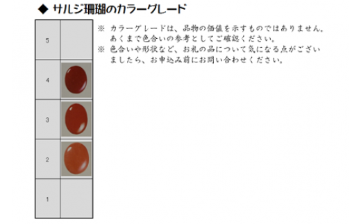 さんごの吉良：珊瑚念珠9