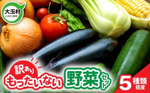 もったいない野菜 野菜セット（5種類程度） 野菜 新鮮 訳あり 食べ切り SDGs 【01105】