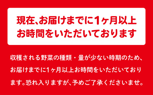 訳あり 野菜 セット （5種類程度） もったいない野菜 食べ切り 不揃い ｜ SDGs 福島県 大玉村 セット 野菜詰め合わせ 詰め合わせ 詰合せ フードロス 規格外 傷 余剰野菜 新鮮 旬 ｜ 01105