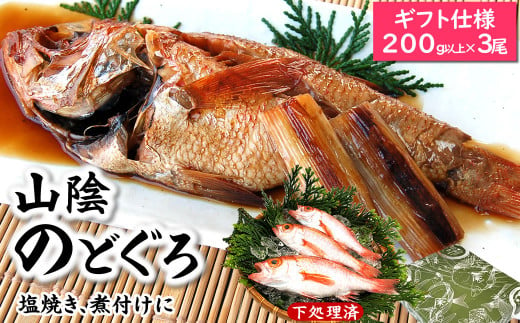 山陰ノドグロ　200g以上×3尾(化粧箱入)下処理済　高級魚で知られるアカムツ　煮付け　塩焼きに