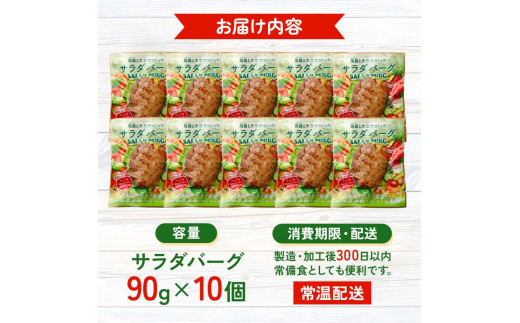 【原料は100％植物由来】こんにゃくと大豆で作ったサラダバーグ90g×10個 ダイエット こんにゃく 蒟蒻 大豆 おから 食物繊維 美肌 糖質制限 ローカロリー 糖質カット 100％プラントベース (ビーガン対応) F21K-161