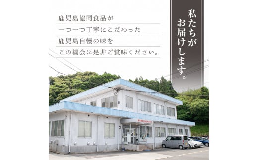 鹿児島黒豚生餃子（生姜風味）12個×12パックセット 計144個 国産 鹿児島県産 黒豚 餃子 ぎょうざ ギョーザ ギョウザ 冷凍餃子 冷凍 冷凍食品 惣菜 弁当 おかず 小分け 詰め合わせ 【A-1713H】