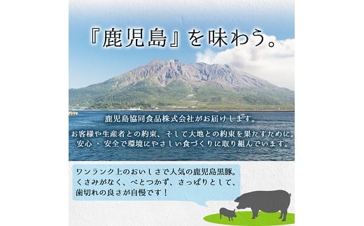 鹿児島黒豚生餃子（生姜風味）12個×12パックセット 計144個 国産 鹿児島県産 黒豚 餃子 ぎょうざ ギョーザ ギョウザ 冷凍餃子 冷凍 冷凍食品 惣菜 弁当 おかず 小分け 詰め合わせ 【A-1713H】