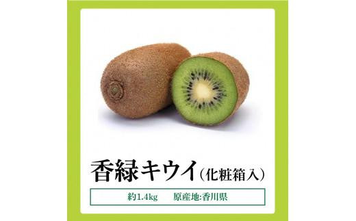 香緑キウイ化粧箱　約1.4kg【2025-1月上旬～2025-3月下旬配送】