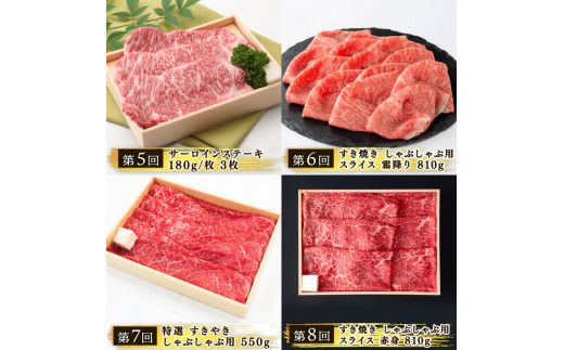 【 定期便 】 近江牛 食べ比べ 全10回 焼肉 すき焼き しゃぶしゃぶ サーロイン ステーキ 赤身 霜降り （ 定期便 肉 黒毛和牛 お弁当 ブランド 近江牛 毎月 三大和牛 滋賀県 竜王 神戸牛 松阪牛 に並ぶ 日本三大和牛 ふるさと納税）