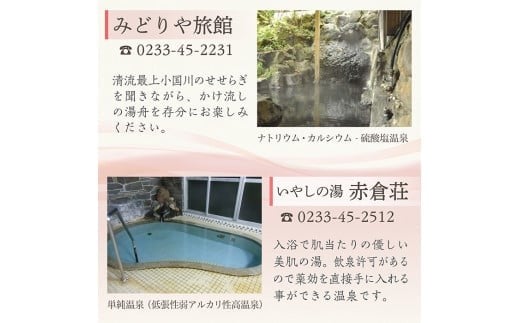 AK赤倉温泉利用券