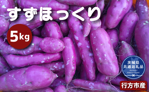 さつまいも「すずほっくり」5kg（茨城県共通返礼品・行方市産）