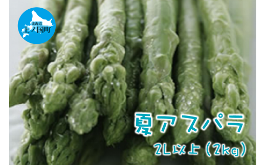 【2025年夏発送】北海道上ノ国町産 朝採り当日発送 刀祢農園の夏アスパラ　2L以上（2㎏）