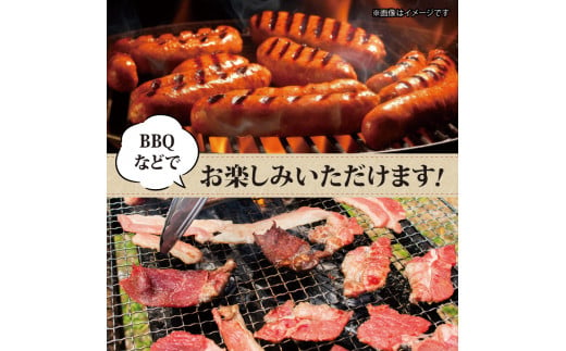 ソーセージ 豚肉 5種 詰合せセット 950g 無塩せき ウインナー 国産 添加物 不使用 ぶたにく 豚 ぶた ポーク ロース 挽き肉 ひきにく ミンチ ウィンナー 粗挽き 燻製 阿波美豚 ブランド 高級 人気 おすすめ ギフト 贈答品 プレゼント BBQ バーベキュー アウトドア 焼肉 おかず おつまみ 惣菜 ビール お弁当 冷凍 真空パック 小分け 送料無料 徳島県 阿波市 リーベフラウ 