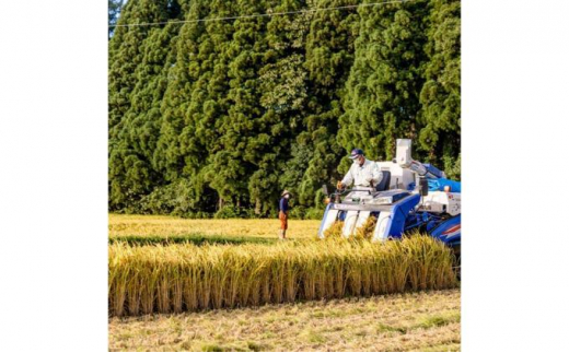 【令和6年産】定期便！農家直送！県認証特別栽培魚沼産コシヒカリ【合計60kg】毎月20kg×3回