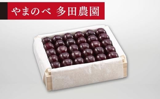 【特選サミット】桐箱詰 約500g【やまのべ多田耕太郎のさくらんぼ 多田農園】