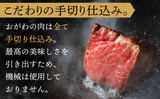 【全12回定期便】長崎和牛 サーロイン ステーキ 総計4.8kg （400g/回）【株式会社 OGAWA】 [QBI011] 牛肉 和牛 焼き肉 バーベキュー 30万1千円 301000円