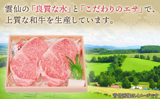 【全12回定期便】長崎和牛 サーロイン ステーキ 総計4.8kg （400g/回）【株式会社 OGAWA】 [QBI011] 牛肉 和牛 焼き肉 バーベキュー 30万1千円 301000円