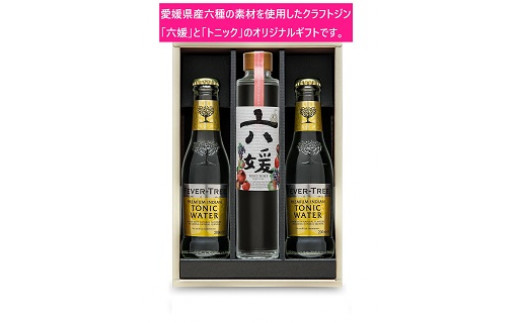 愛媛が育んだ六種のお姫（媛）様のような産品を使用したクラフトジン「道後ジン　六媛」が誕生しました！