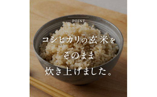 玄米パックご飯 160g×36個 パックご飯 パックごはん 玄米 玄米パックごはん コシヒカリ こしひかり おこめのみかた 電子レンジ レトルト 鳥取県日南町