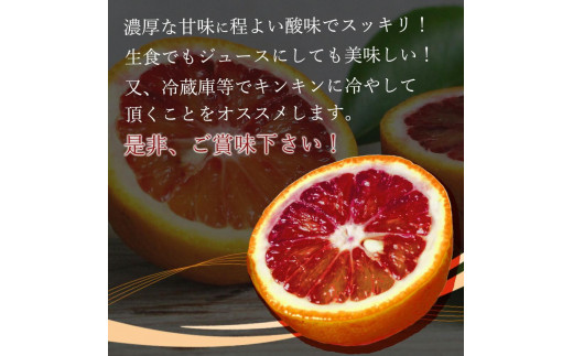 希少な柑橘!紀州有田産ブラッドオレンジ約3kg 【ご家庭用】【2025年3月下旬以降発送】【先行予約】【UT55】