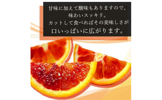 希少な柑橘!紀州有田産ブラッドオレンジ約3kg 【ご家庭用】【2025年3月下旬以降発送】【先行予約】【UT55】