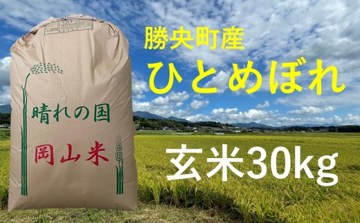 「ひとめぼれ玄米30kg」