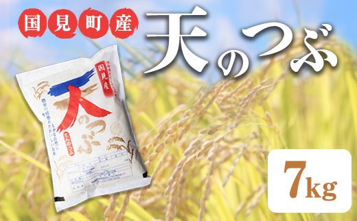 【令和6年産】米　国見町産 天のつぶ　 7kg＜小坂アグリ株式会社＞ ※沖縄・離島への配送不可 ※2024年10月中旬～2025年2月頃に順次発送予定