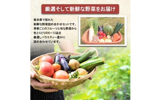 旬の味覚セット 季節のフルーツ・熊本の新鮮お野菜(6～10品目) (詰め合わせ)) | 熊本県 和水町 くまもと なごみまち なごみ 野菜 果物 季節の果物 フルーツ 詰め合わせ セット