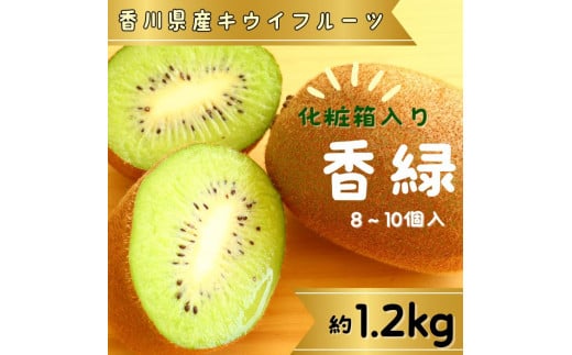 香緑（キウイフルーツ）1.2kg（ 8～10個） 化粧箱入り【予約受付中！令和6年11月中旬頃より発送！】【A-111】