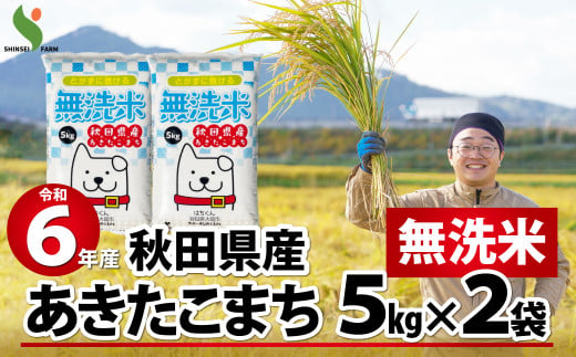 令和6年産】無洗米 長崎 なつほのか 計10kg（2.5kg×4袋） ／ お米 米 こめ コメ | 長崎県長崎市 | KABU&ふるさと納税 |  株がもらえるカブアンド