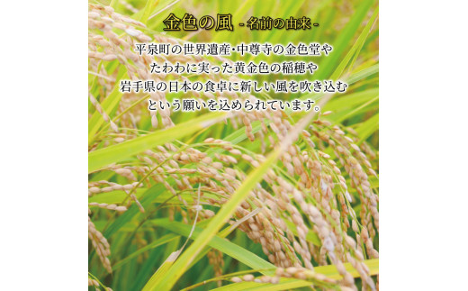 米 定期便 / 9ヶ月 金色の風 2kg× 9回 (計18kg) 精米 一等米 岩手県産 ご飯 白米