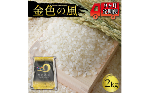 米 定期便 / 9ヶ月 金色の風 2kg× 9回 (計18kg) 精米 一等米 岩手県産 ご飯 白米