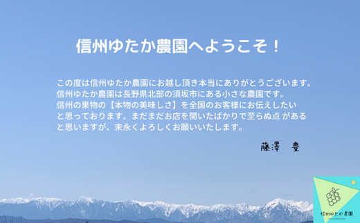[No.5657-3742]シャインマスカット約2～3房（1.2kg以上）《信州ゆたか農園》■2023年発送■※10月上旬頃～10月下旬頃まで順次発送予定