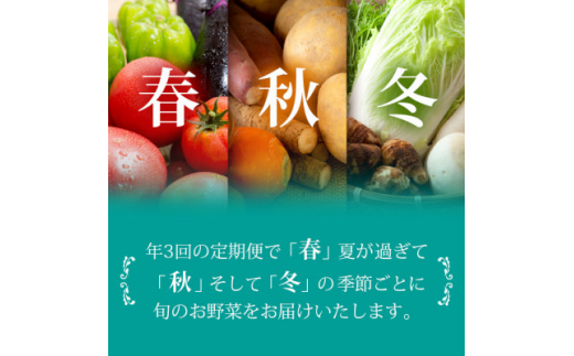 ＜発送月固定定期便＞枕崎の野菜!!定番・旬の野菜お任せセット(5・11・2月)DD0-0008全3回【4057567】