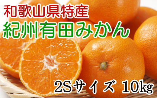 [秀品]和歌山有田みかん　約10kg(2Sサイズ) ※2024年11月中旬～1月中旬頃順次発送【tec832】