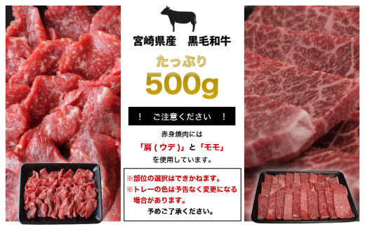 宮崎県産 黒毛和牛 赤身 焼肉 500g トレイ包装 [SHINGAKI 宮崎県 美郷町 31ag0074] 牛肉 ウデ モモ 焼肉 冷凍 九州産 送料無料 BBQ バーベキュー