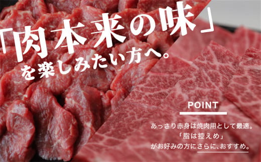 宮崎県産 黒毛和牛 赤身 焼肉 500g トレイ包装 [SHINGAKI 宮崎県 美郷町 31ag0074] 牛肉 ウデ モモ 焼肉 冷凍 九州産 送料無料 BBQ バーベキュー