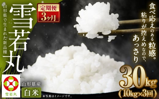 【3ヶ月定期便】【令和6年産新米】〈白米〉 雪若丸 10kg×3回