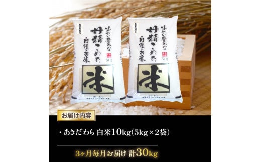 【 先行受付 】 令和6年産 新米 あきだわら 定期便 10kg 全3回 白米 5㎏ × 2袋 3ヶ月 近江米 アキダワラ 国産 お米 米 おこめ ごはん ご飯 白飯 しろめし こめ ゴハン 御飯 滋賀県産 竜王 ふるさと ランキング 人気 おすすめ