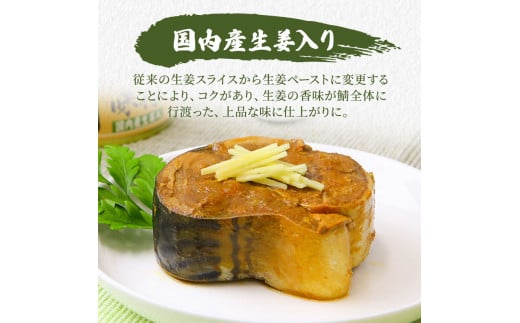 サバ缶 食べ比べセット 24缶 セット 詰め合わせ 若狭の鯖缶 3種 しょうゆ 生姜入り 唐辛子入り 鯖缶 さば缶 さば サバ 鯖 缶詰 缶詰め 魚 魚介 魚介類 海鮮 食べ比べ 福井 福井県 若狭町 [№5580-0135]