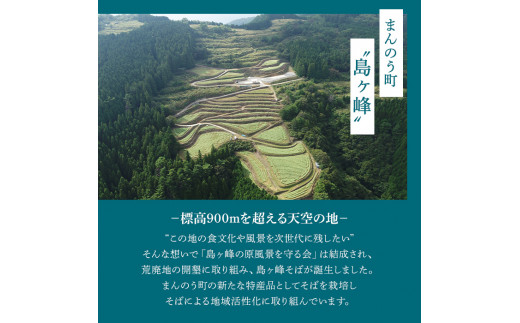 ＜数量限定・選べる容量＞ 島ヶ峰そば つゆ付 (3袋・1袋200g) 6人前 【man214・man215】【島ヶ峰の原風景を守る会】