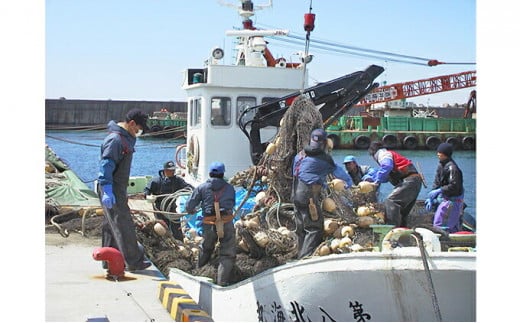 北海道産 新巻鮭 半身 2切れ＆いくら醤油漬 200g セット 新巻鮭 鮭 いくら イクラ 